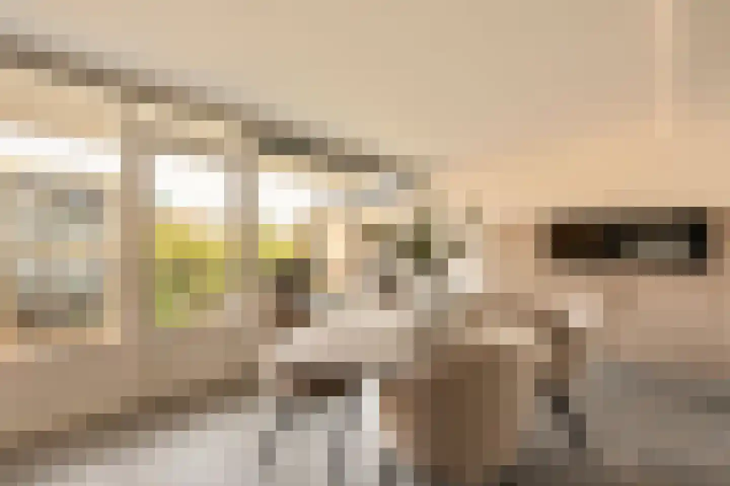 De Lierhof 24 Amsterdam thumbnail 21