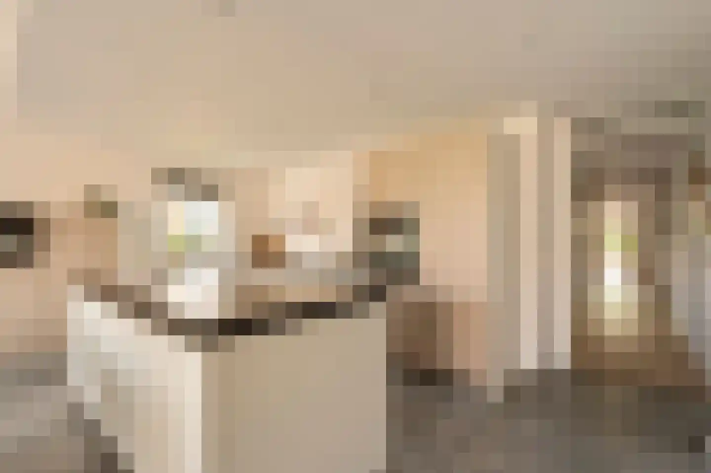 De Lierhof 24 Amsterdam thumbnail 24