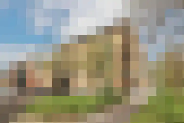 De Lierhof 28 Amsterdam thumbnail 45