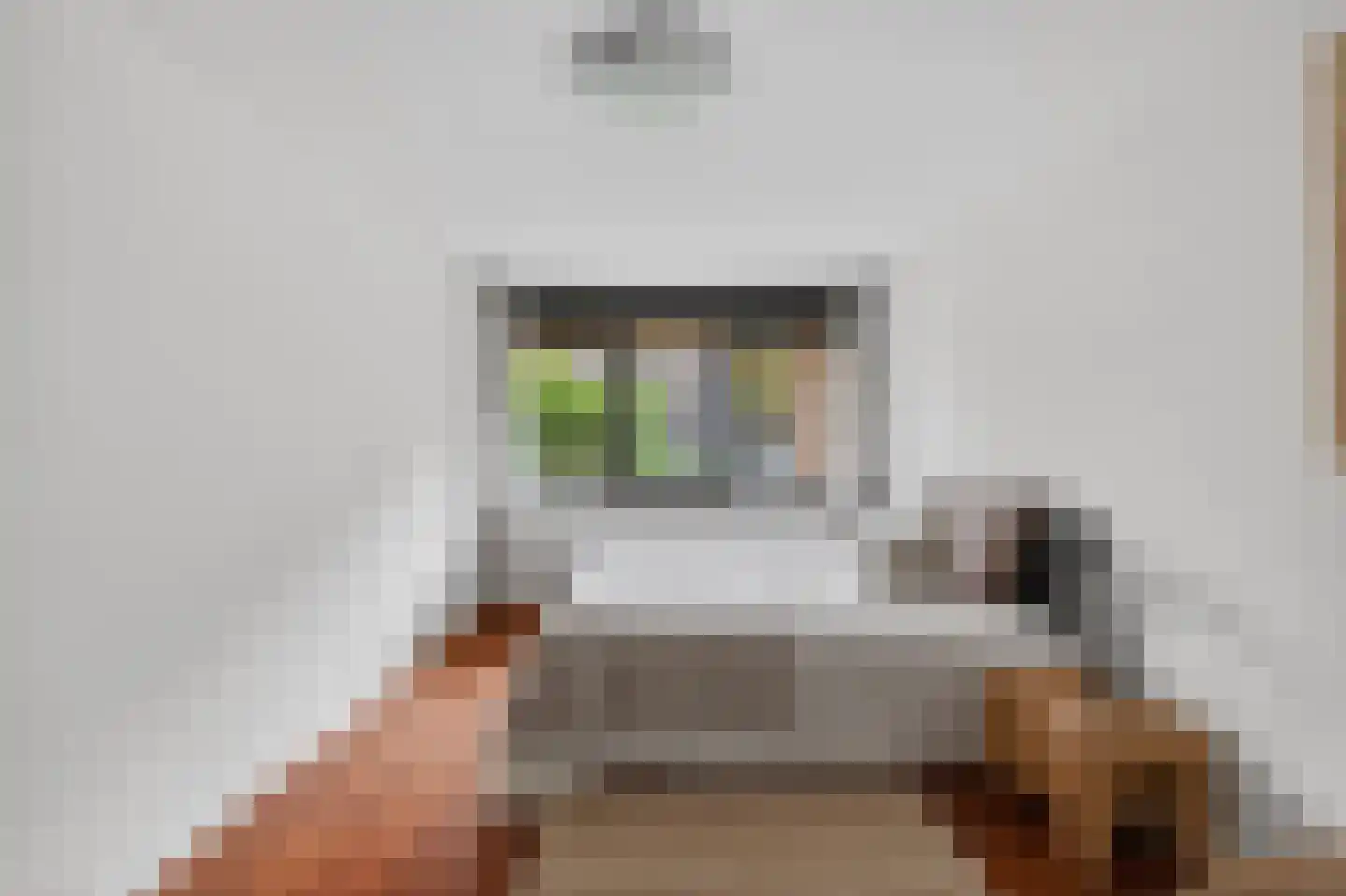 De Lierhof 34 Amsterdam thumbnail 15