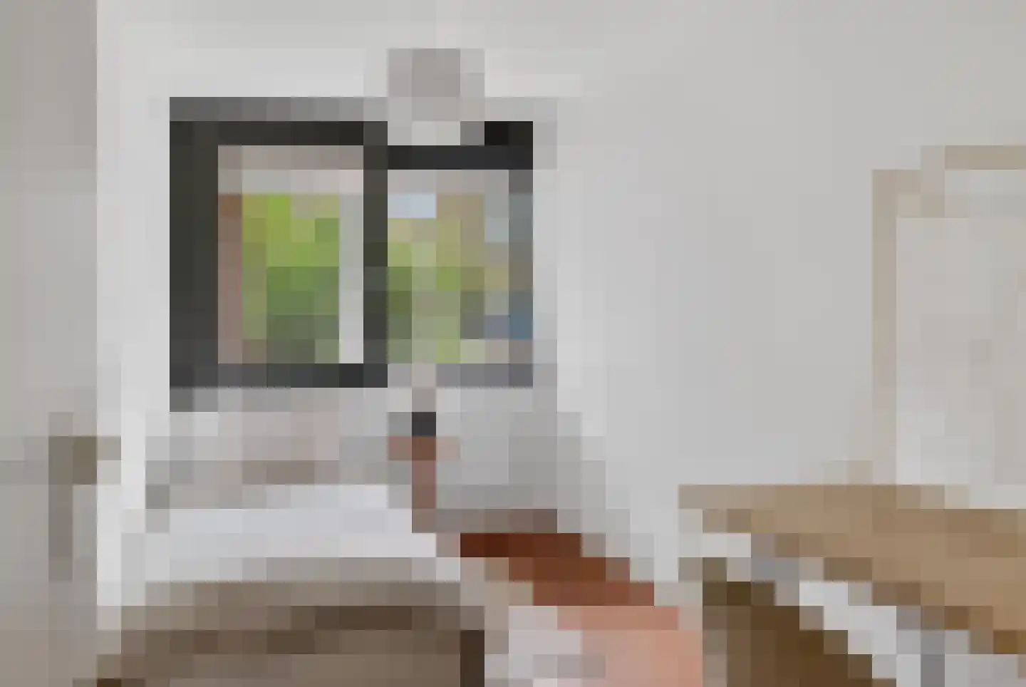 De Lierhof 34 Amsterdam thumbnail 16