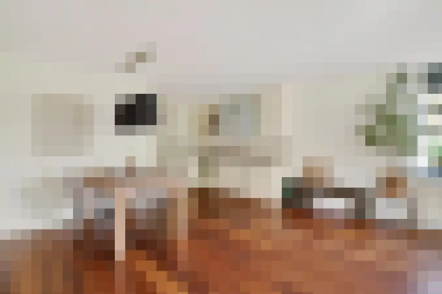De Lierhof 34 Amsterdam thumbnail 9