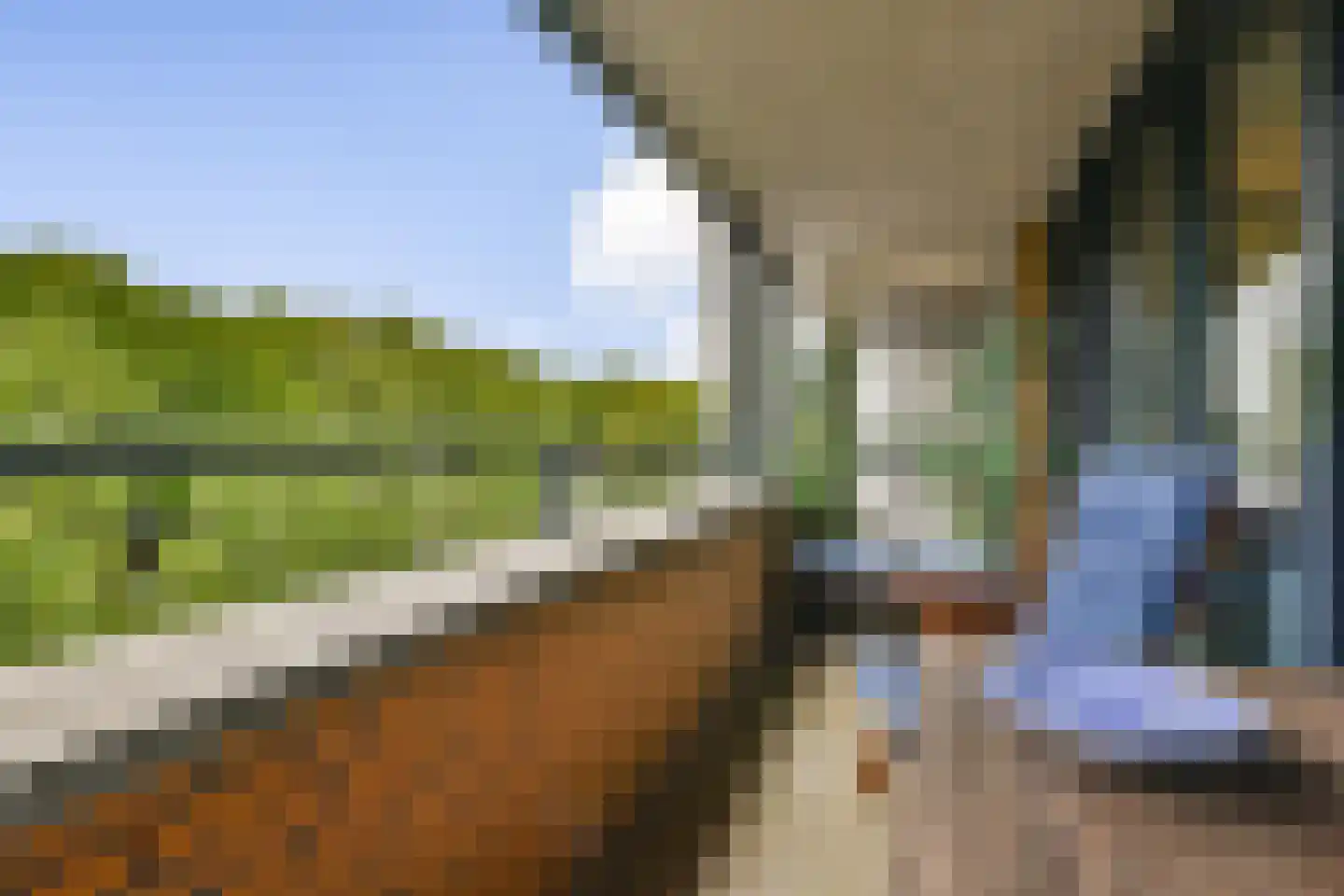 De Lierhof 48 Amsterdam thumbnail 10