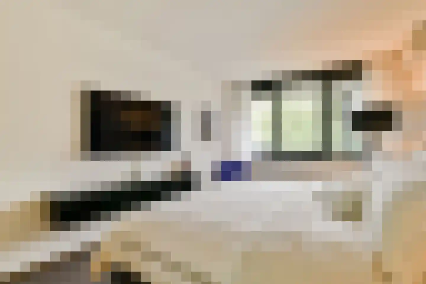 De Lierhof 48 Amsterdam thumbnail 15