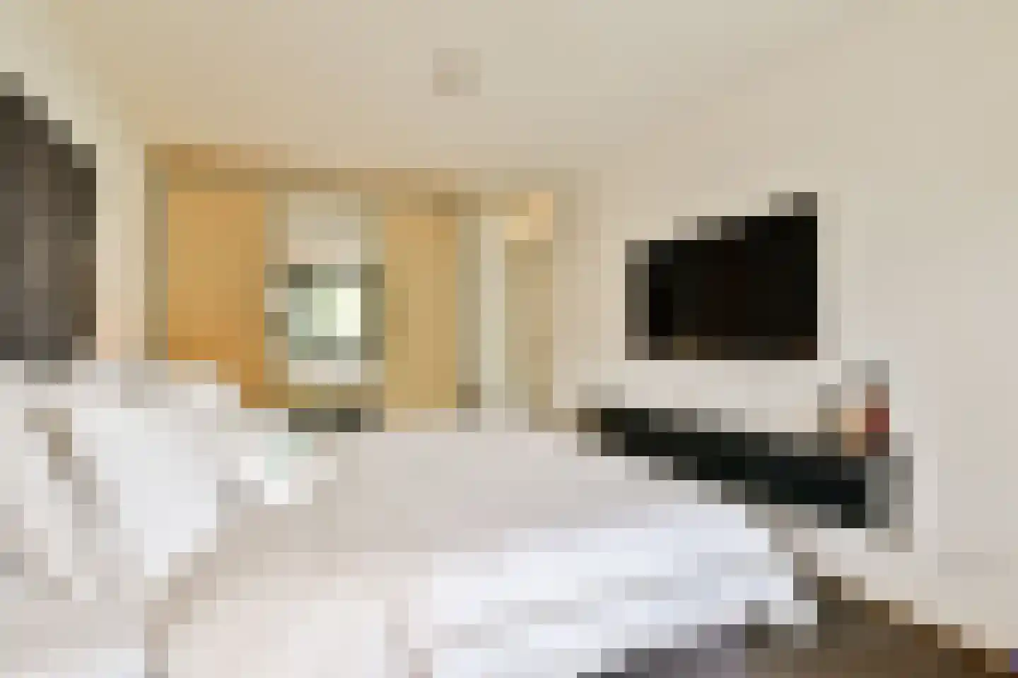 De Lierhof 48 Amsterdam thumbnail 16