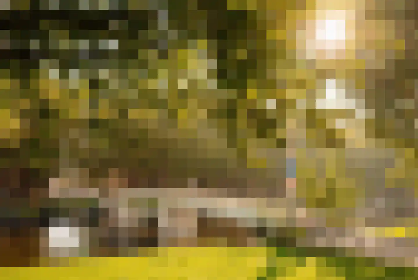 De Lierhof 48 Amsterdam thumbnail 32