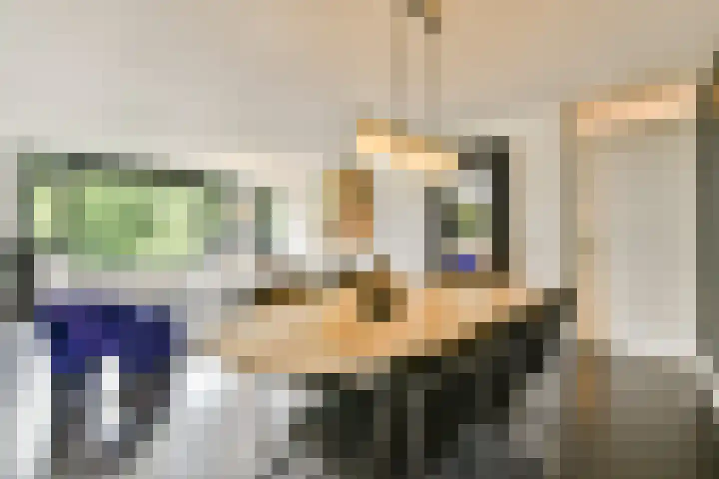 De Lierhof 48 Amsterdam thumbnail 6