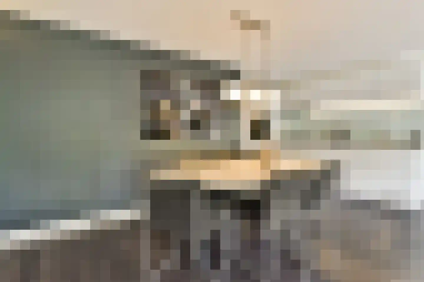De Lierhof 48 Amsterdam thumbnail 7