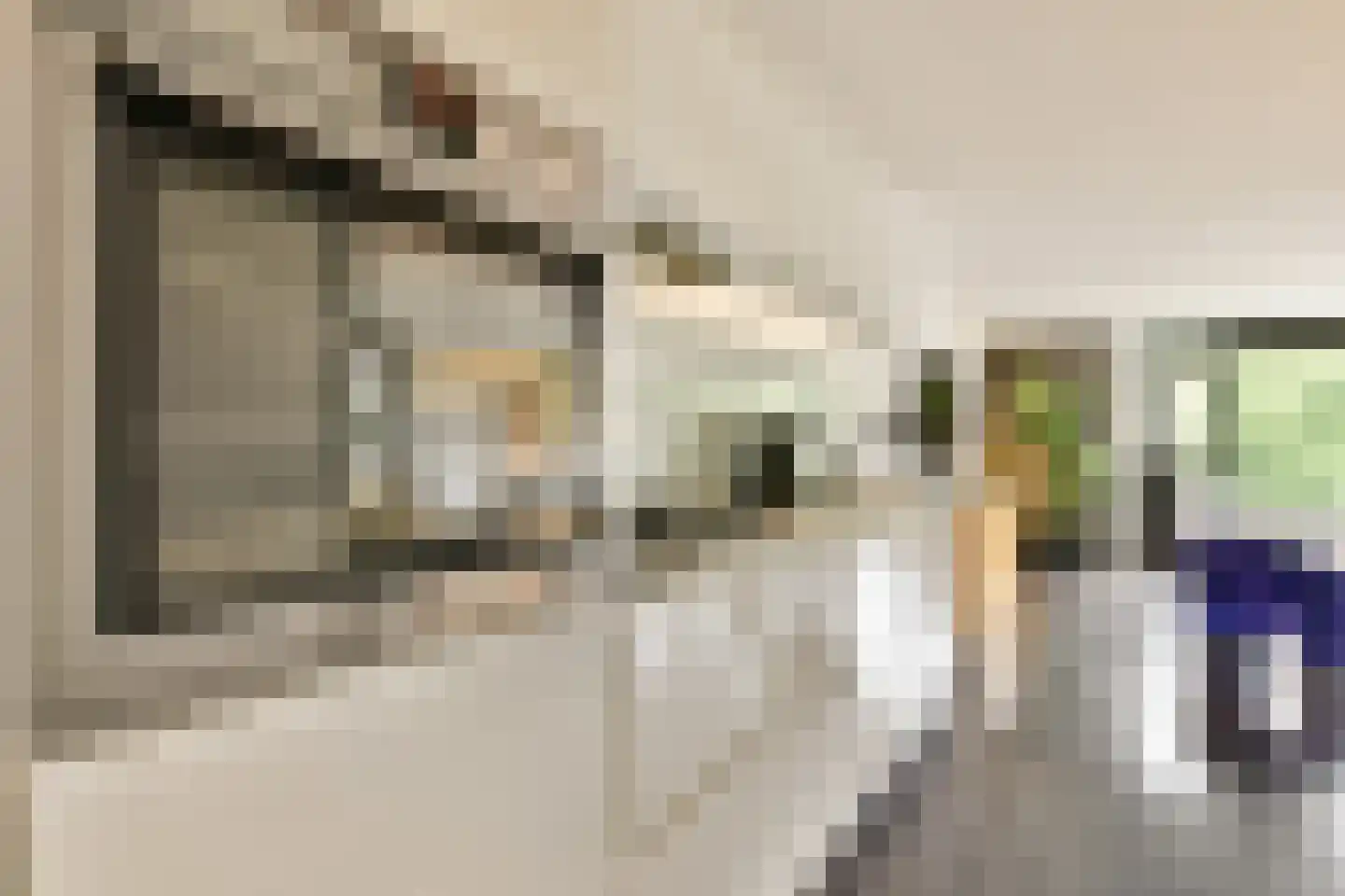 De Lierhof 48 Amsterdam thumbnail 9