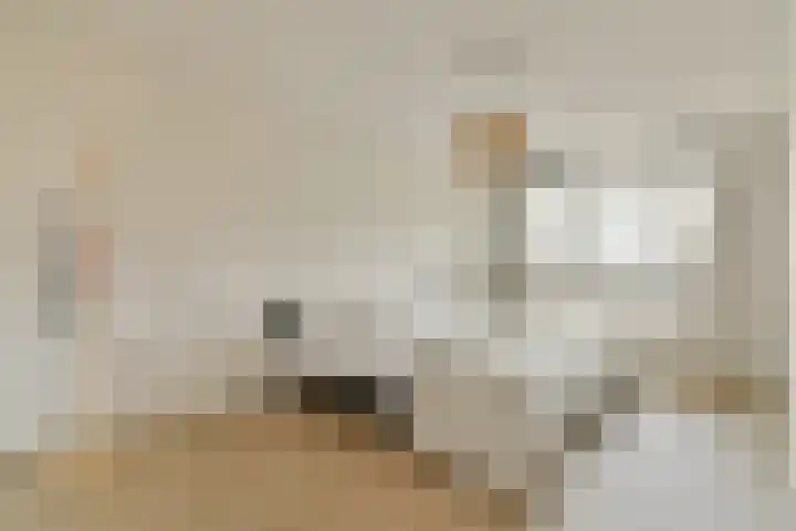 De Lierhof 53 Amsterdam thumbnail 13