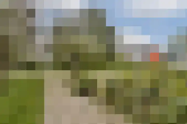 De Lierhof 53 Amsterdam thumbnail 28