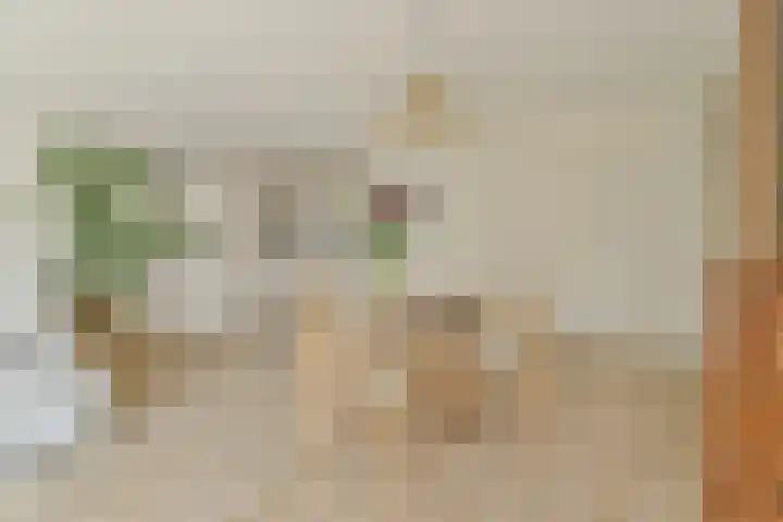 De Lierhof 53 Amsterdam thumbnail 6