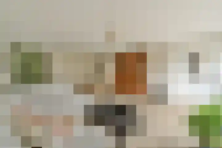 De Lierhof 53 Amsterdam thumbnail 8