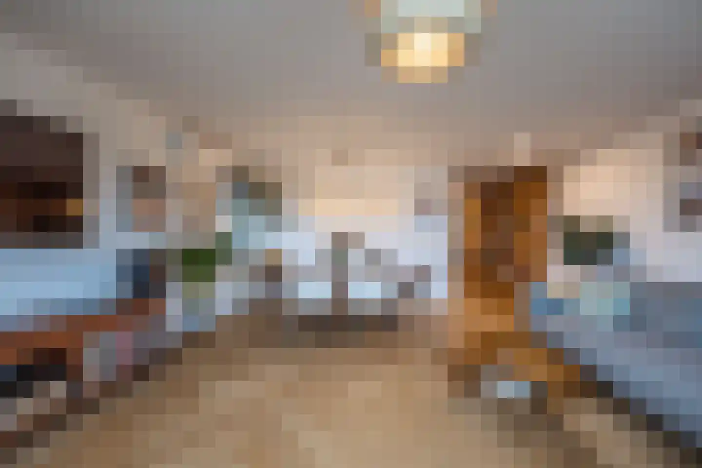 De Lierhof 71 Amsterdam thumbnail 11