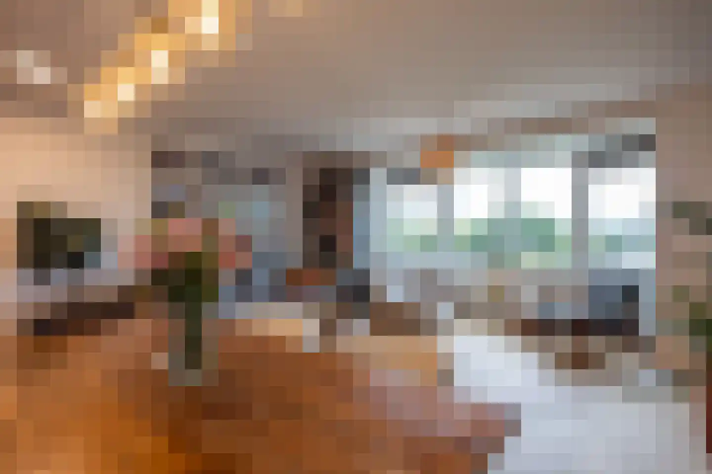 De Lierhof 71 Amsterdam thumbnail 12