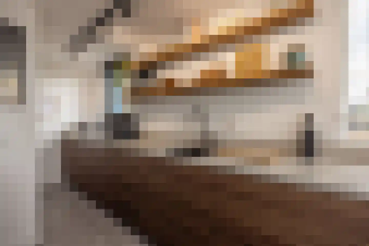 De Lierhof 71 Amsterdam thumbnail 19