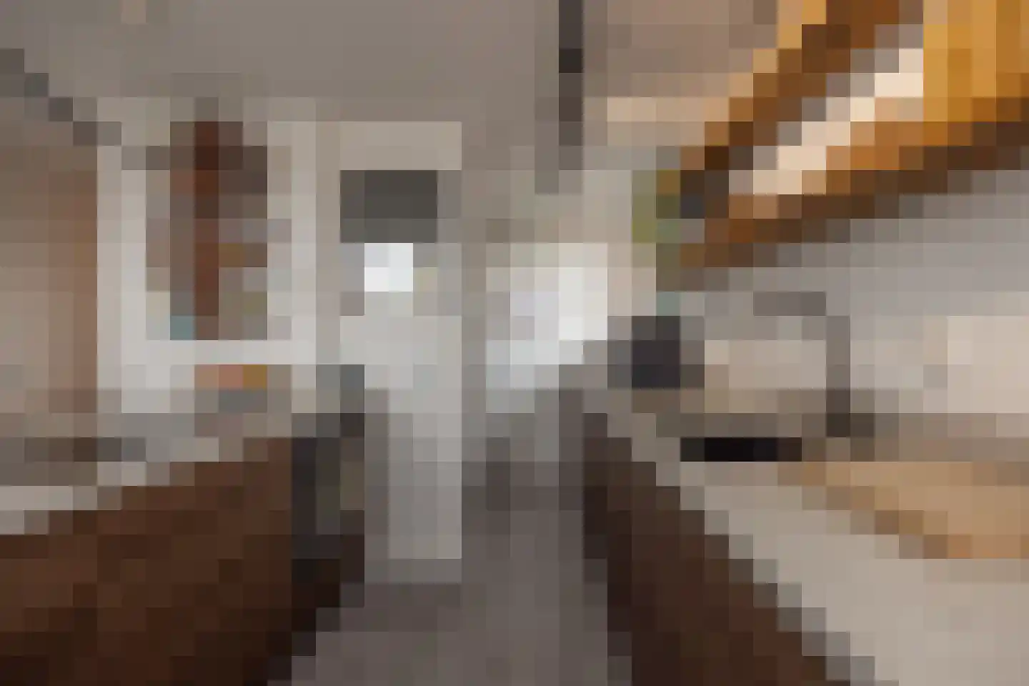De Lierhof 71 Amsterdam thumbnail 21