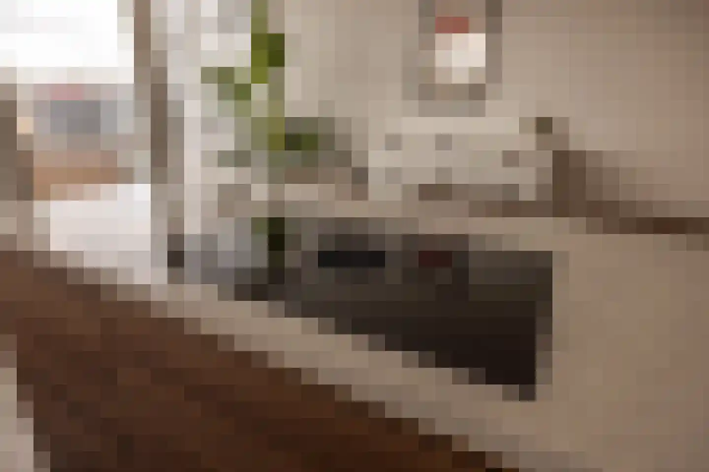 De Lierhof 71 Amsterdam thumbnail 22