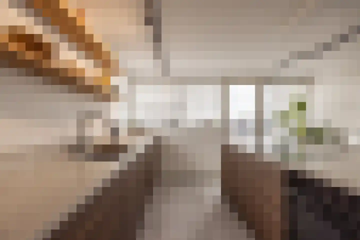 De Lierhof 71 Amsterdam thumbnail 23