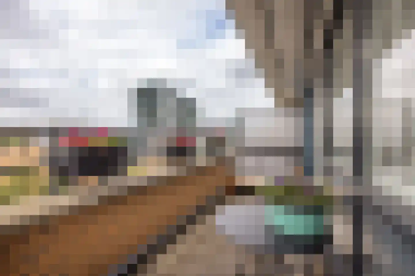 De Lierhof 71 Amsterdam thumbnail 26