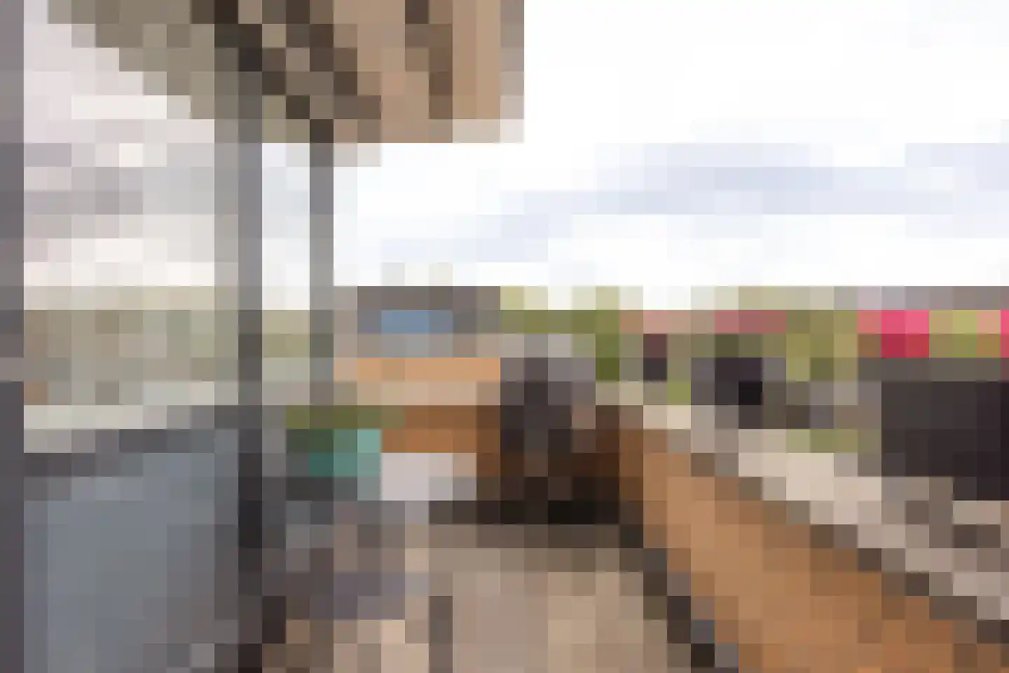 De Lierhof 71 Amsterdam thumbnail 27