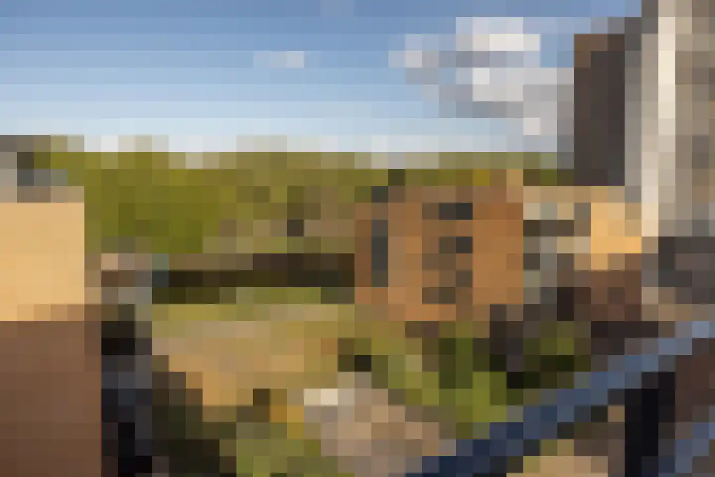 De Lierhof 71 Amsterdam thumbnail 29