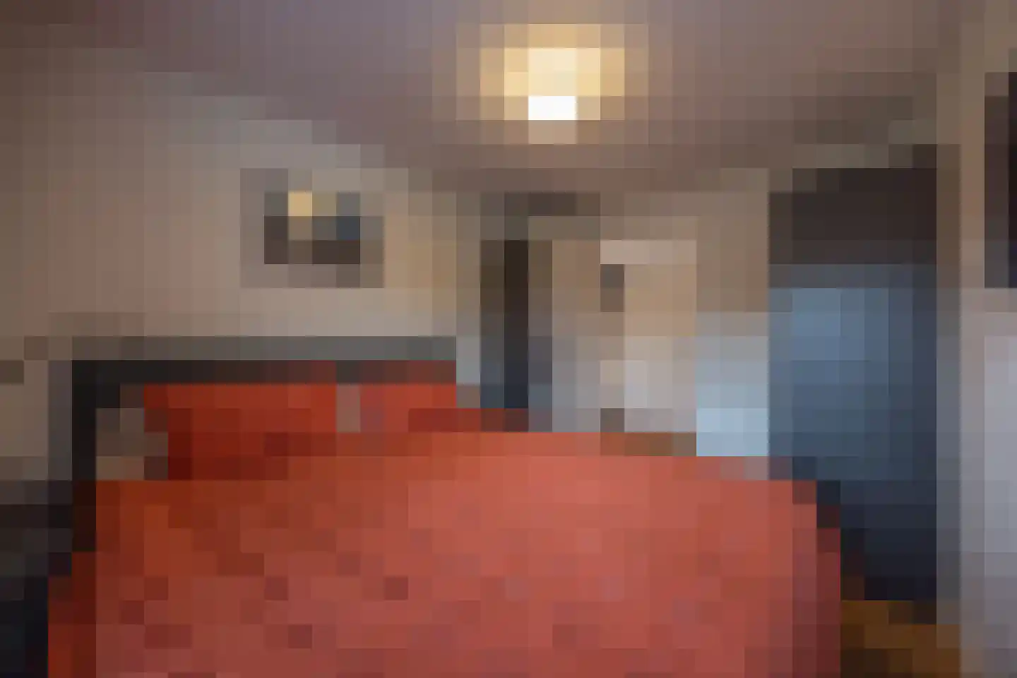 De Lierhof 71 Amsterdam thumbnail 32
