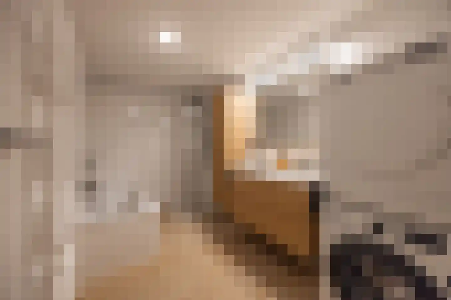 De Lierhof 71 Amsterdam thumbnail 36