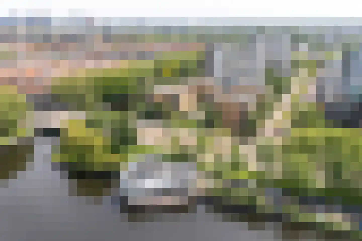 De Lierhof 71 Amsterdam thumbnail 5