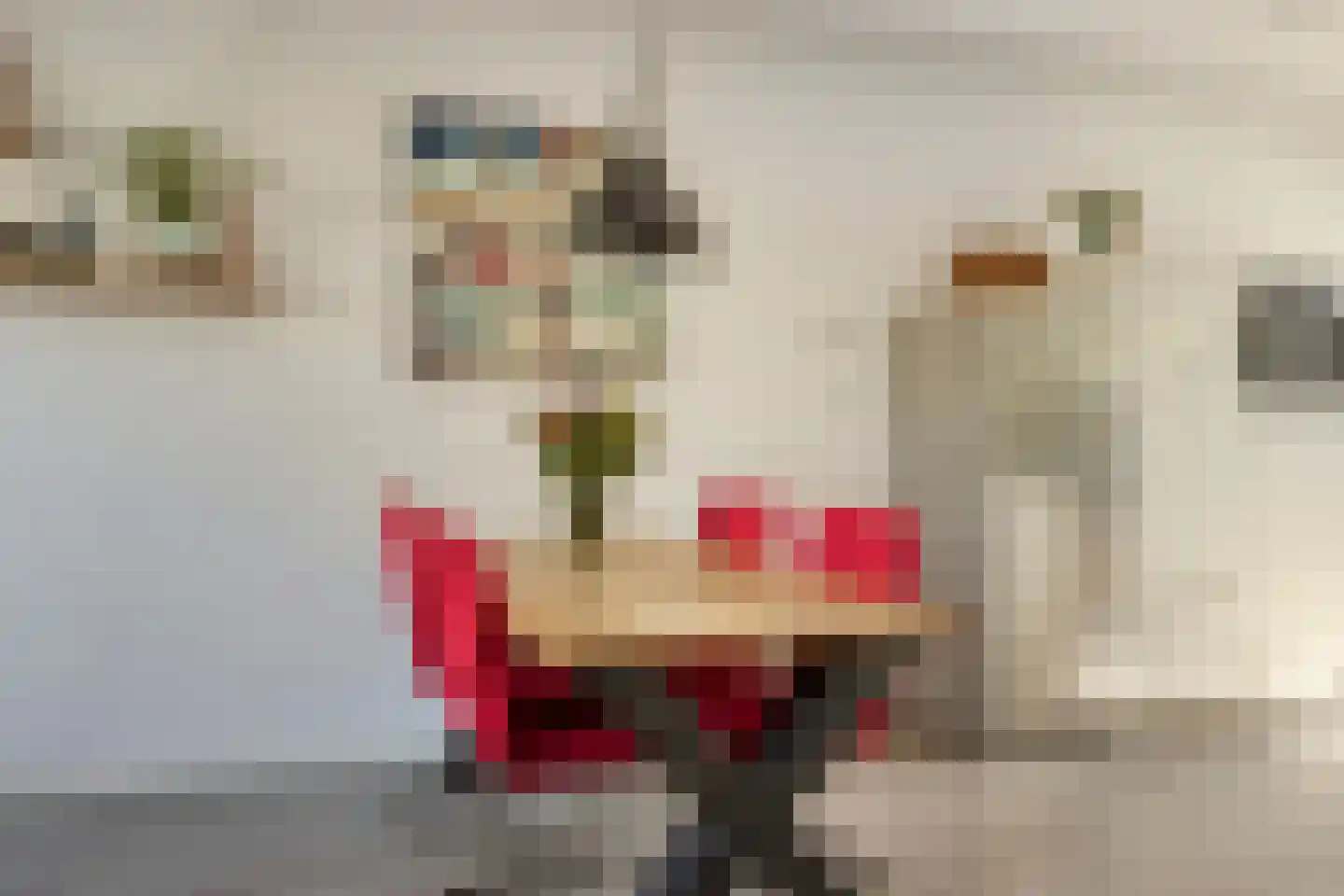 De Liesewey 11 Hendrik-Ido-Ambacht thumbnail 12