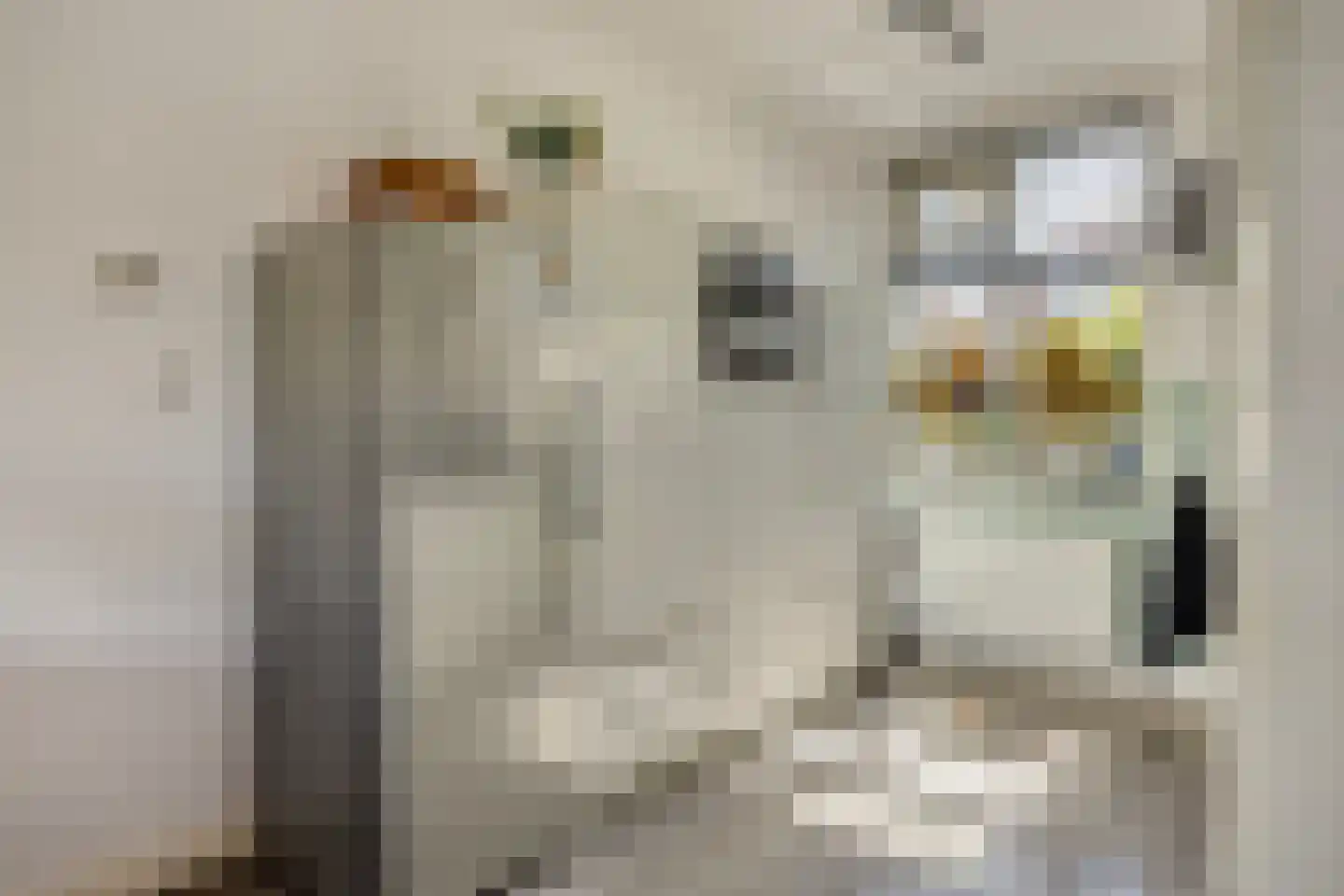 De Liesewey 11 Hendrik-Ido-Ambacht thumbnail 16