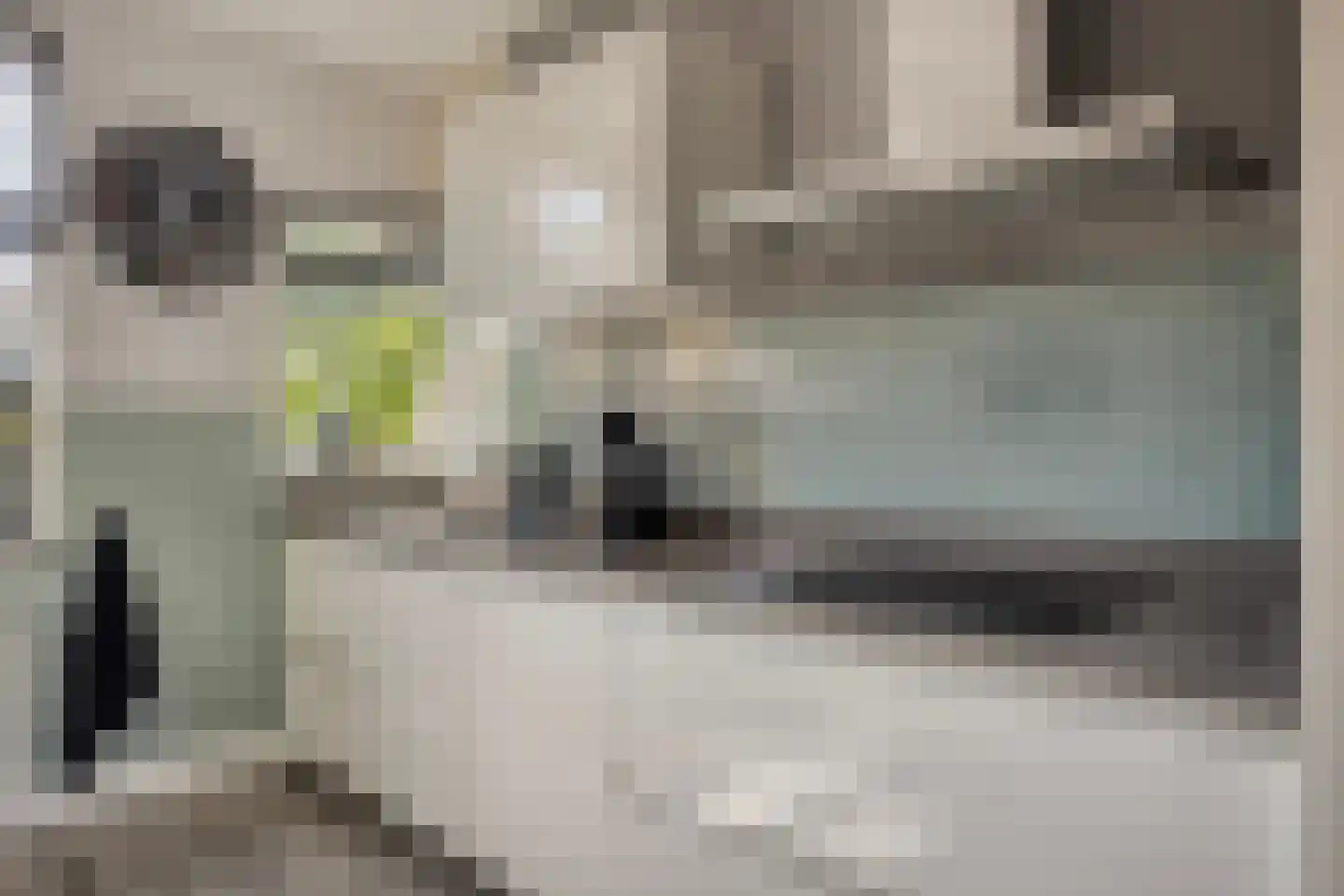 De Liesewey 11 Hendrik-Ido-Ambacht thumbnail 17