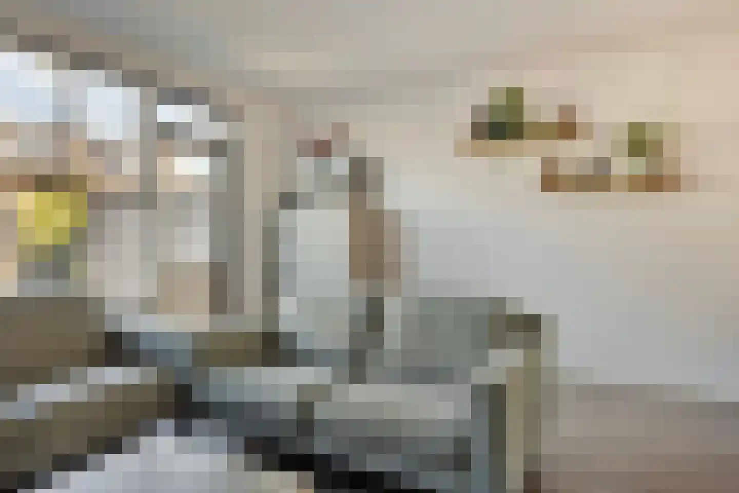 De Liesewey 11 Hendrik-Ido-Ambacht thumbnail 8