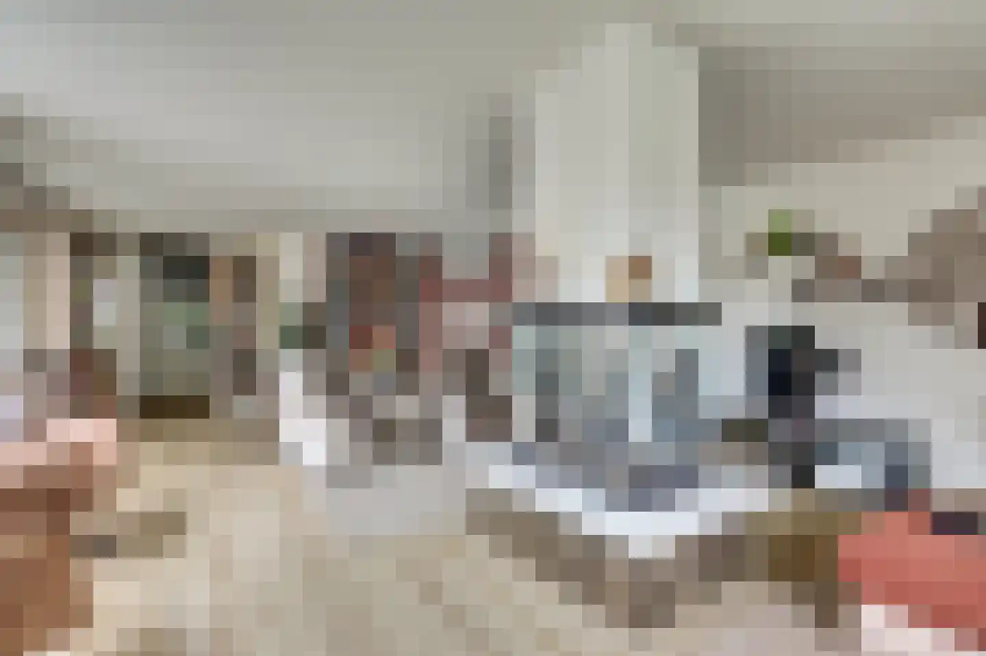 De Liesewey 41 Hendrik-Ido-Ambacht thumbnail 10