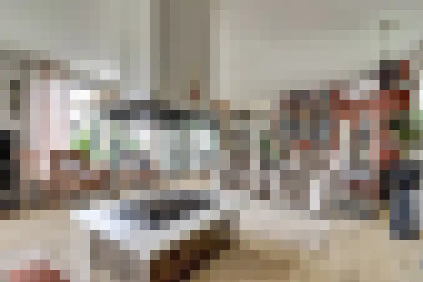 De Liesewey 41 Hendrik-Ido-Ambacht thumbnail 11