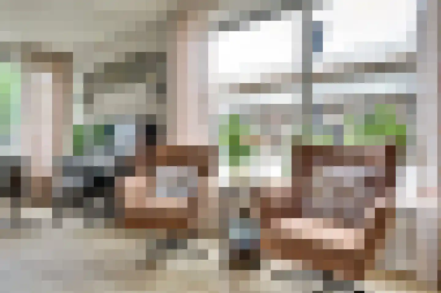 De Liesewey 41 Hendrik-Ido-Ambacht thumbnail 12