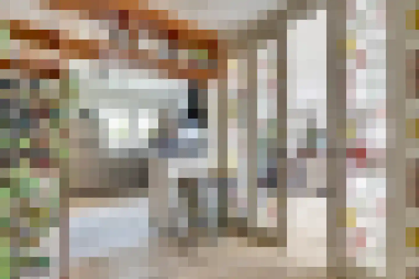 De Liesewey 41 Hendrik-Ido-Ambacht thumbnail 16