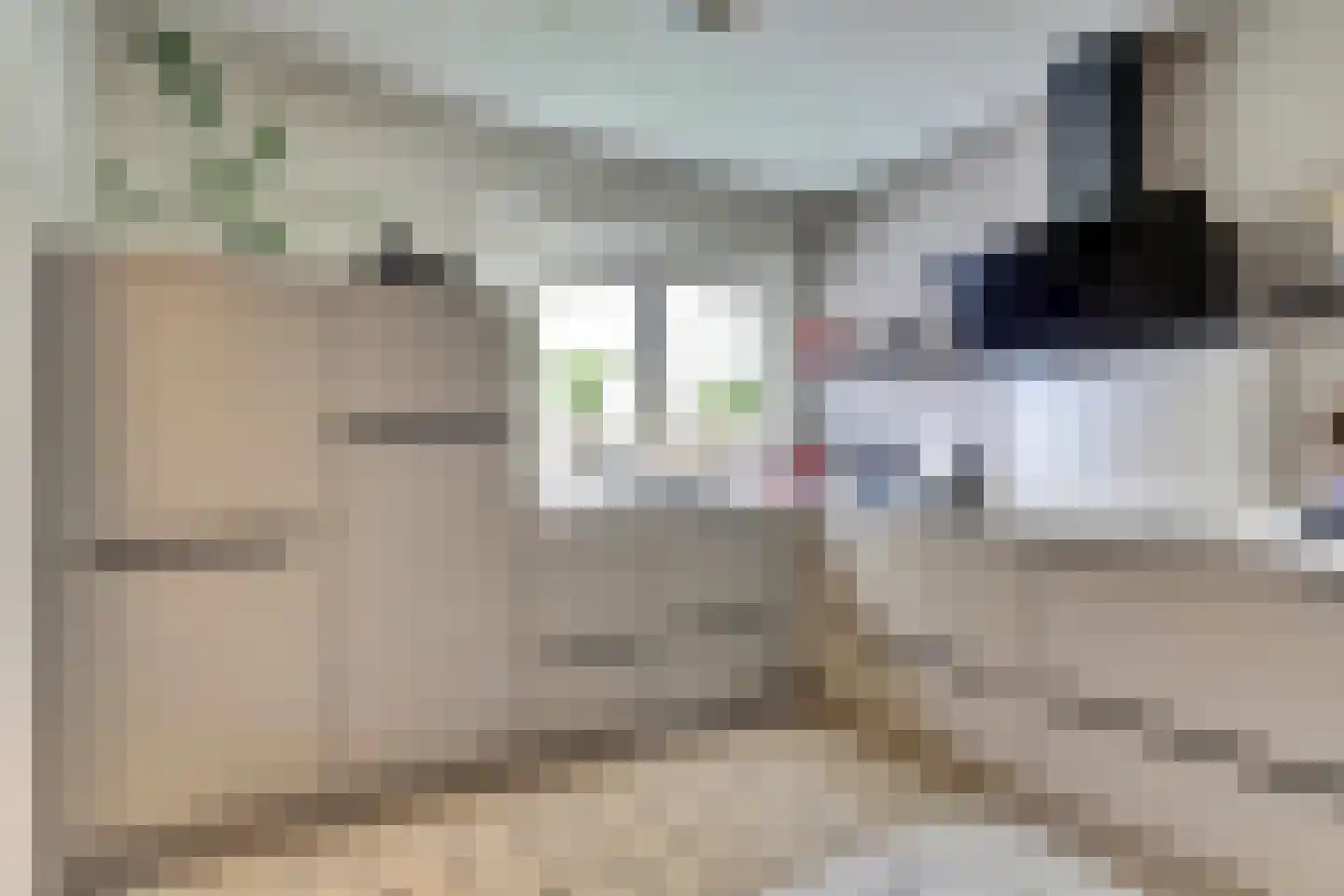 De Liesewey 41 Hendrik-Ido-Ambacht thumbnail 17