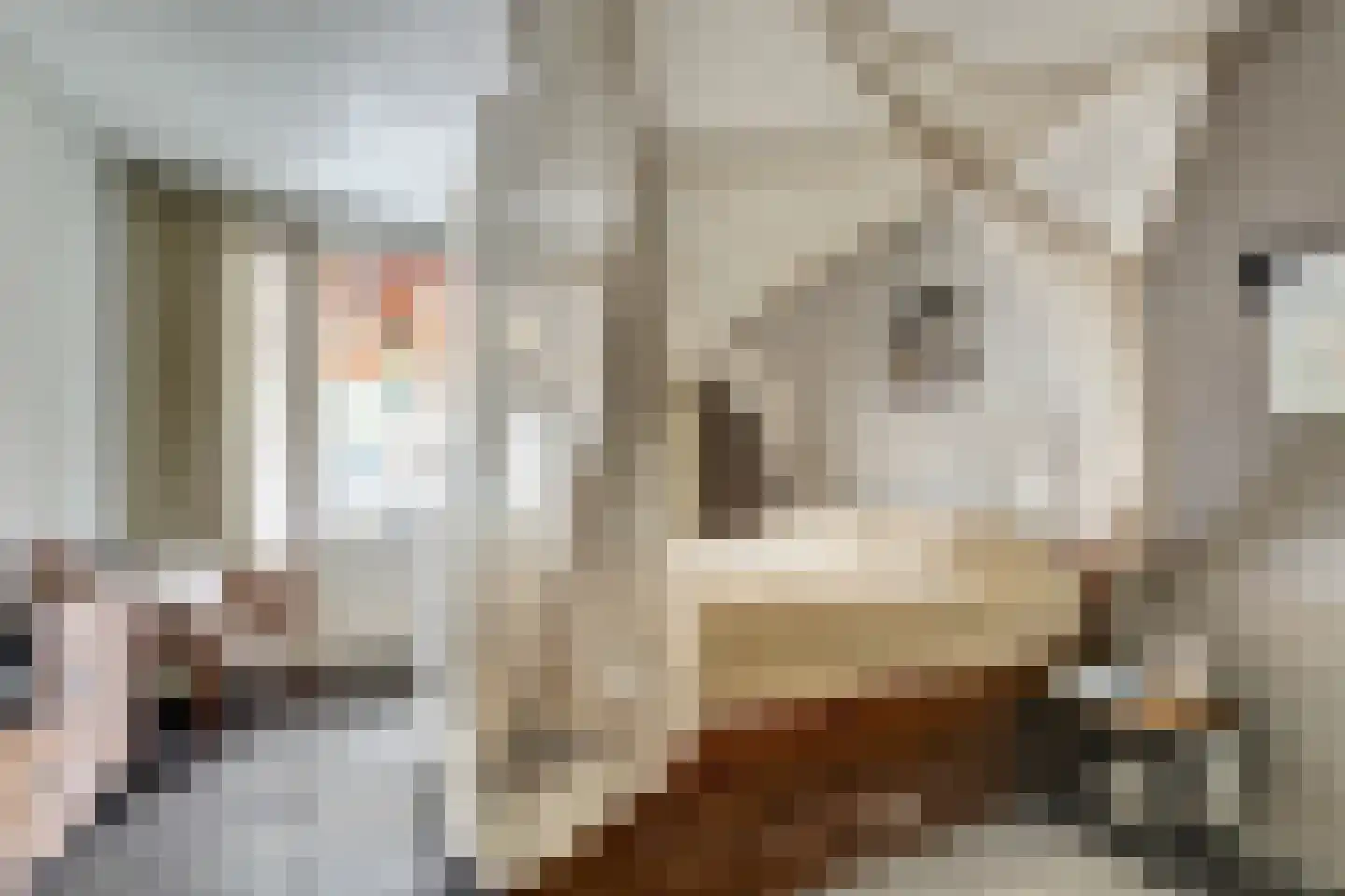 De Liesewey 41 Hendrik-Ido-Ambacht thumbnail 21