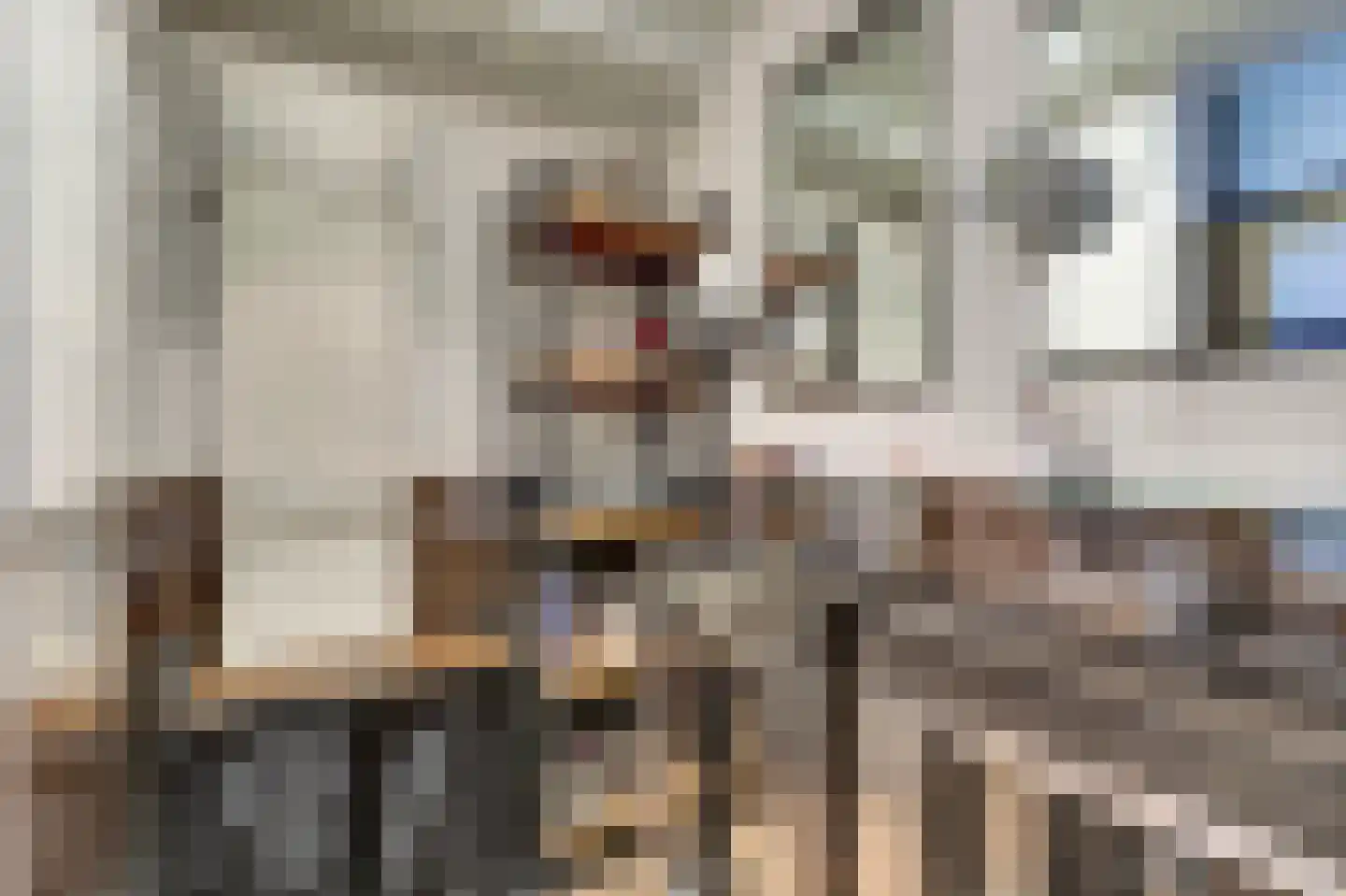 De Liesewey 41 Hendrik-Ido-Ambacht thumbnail 23