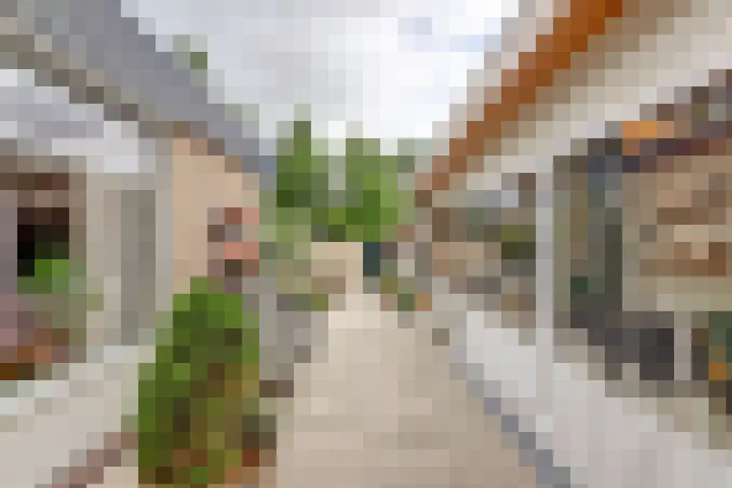 De Liesewey 41 Hendrik-Ido-Ambacht thumbnail 37