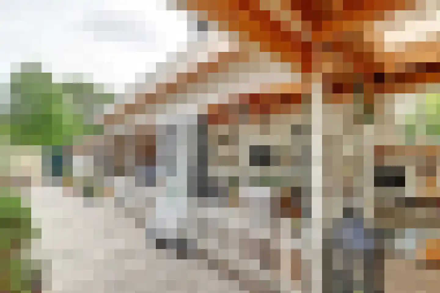 De Liesewey 41 Hendrik-Ido-Ambacht thumbnail 38