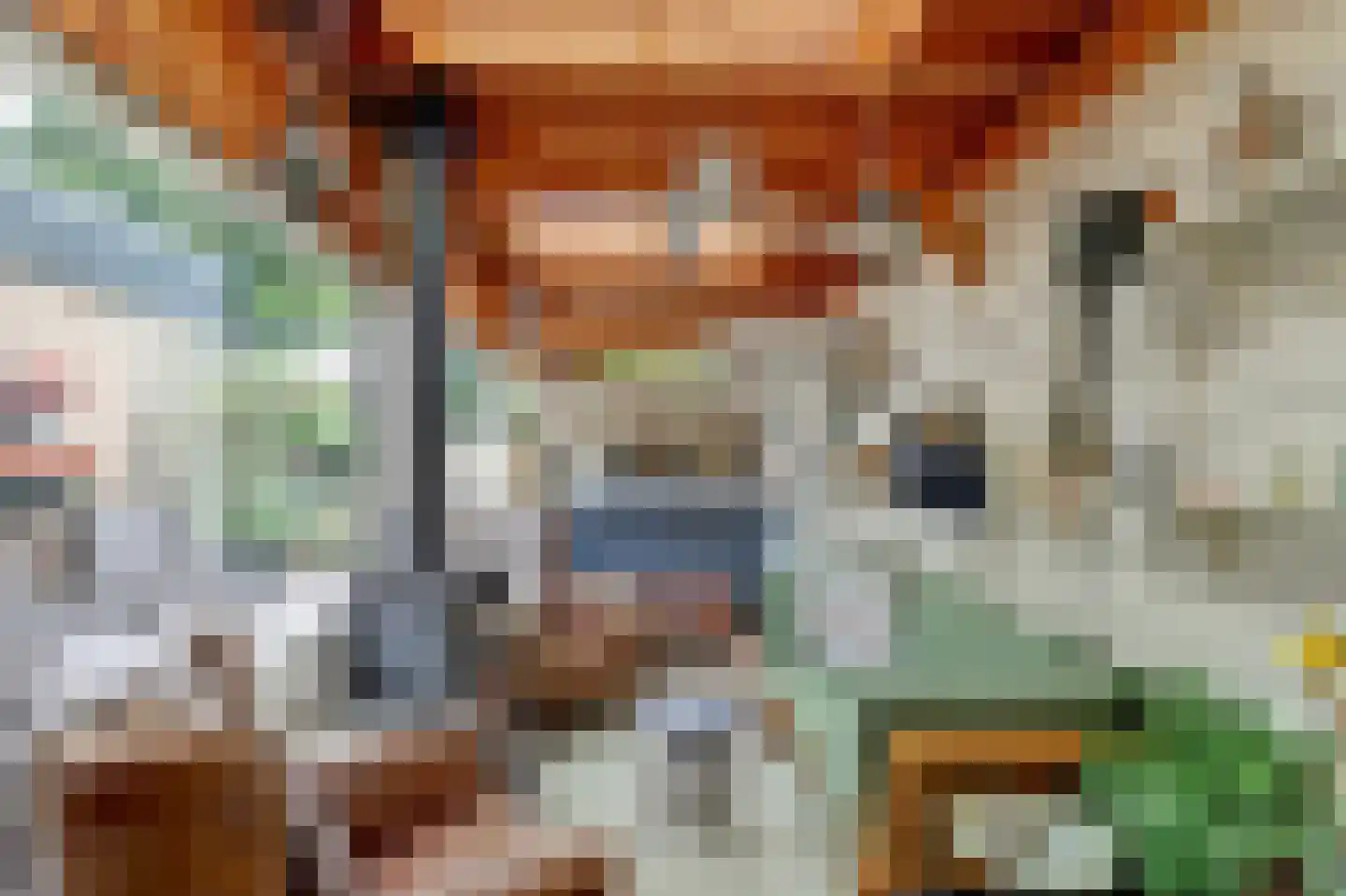 De Liesewey 41 Hendrik-Ido-Ambacht thumbnail 39