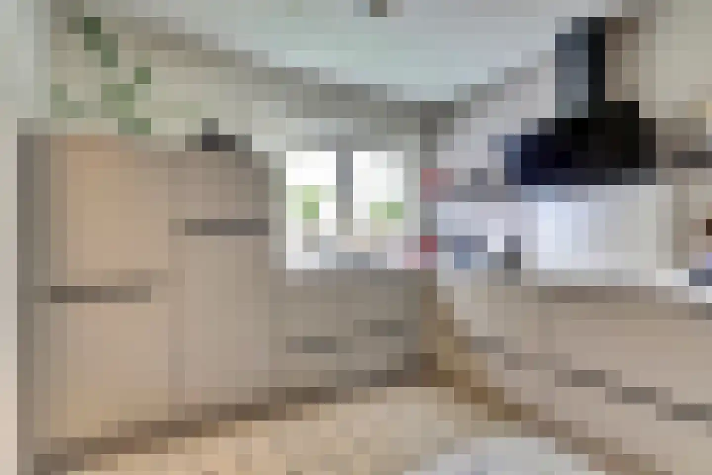 De Liesewey 41 Hendrik-Ido-Ambacht thumbnail 4