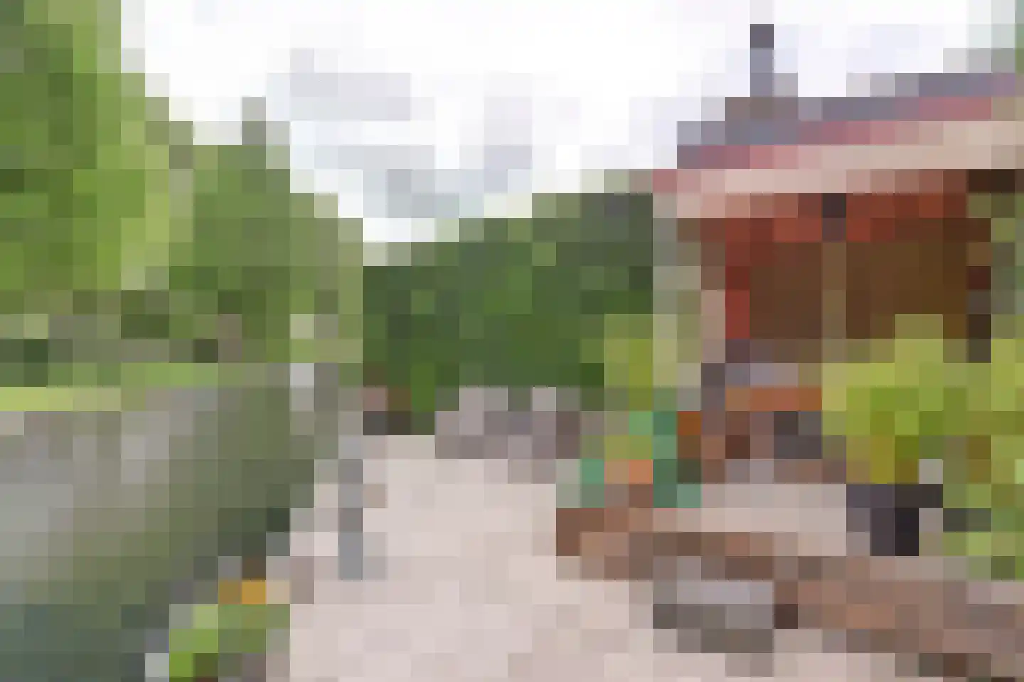 De Liesewey 41 Hendrik-Ido-Ambacht thumbnail 46