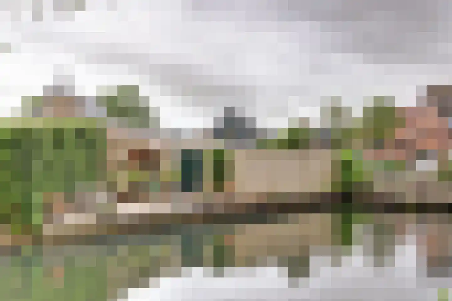 De Liesewey 41 Hendrik-Ido-Ambacht thumbnail 48