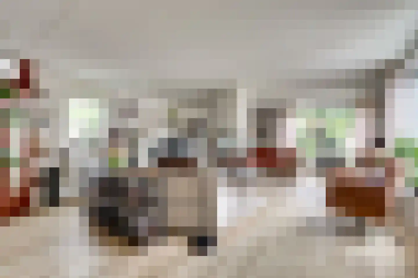 De Liesewey 41 Hendrik-Ido-Ambacht thumbnail 9