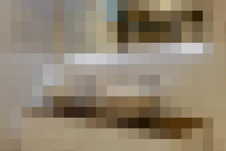 De Liesewey 45 Hendrik-Ido-Ambacht thumbnail 20