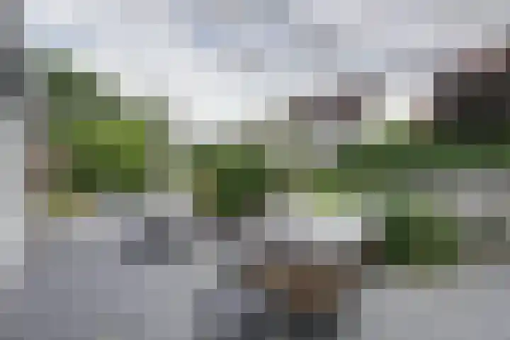 De Liesewey 45 Hendrik-Ido-Ambacht thumbnail 30