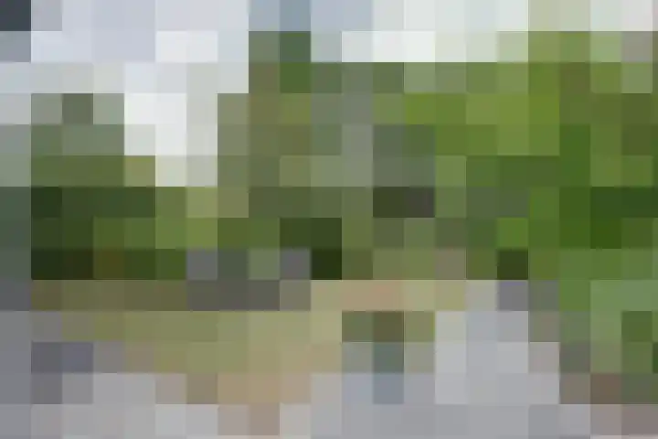 De Liesewey 45 Hendrik-Ido-Ambacht thumbnail 32